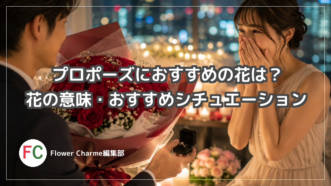 プロポーズにおすすめの花は？本数や花の意味・おすすめのシチュエーションを紹介！